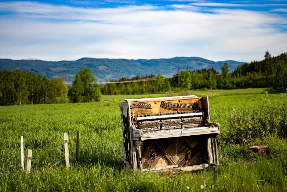 An old, weathered upright piano with its internal strings and hammers exposed, situated in a grassy field near a rural driveway. The piano's wood appears aged, with peeling paint and missing parts. Surrounding the piano is tall green grass, with a few small white posts nearby acting as markers. In the background, there are distant rolling hills covered in trees under a partly cloudy sky. The scene suggests an outdoor storage or discarded furniture area, but does not depict any moving activity or equipment. This image may relate to furniture transport or the disposal of unwanted items during a home relocation process, as handled by removal companies such as Removal Companies Kingston.